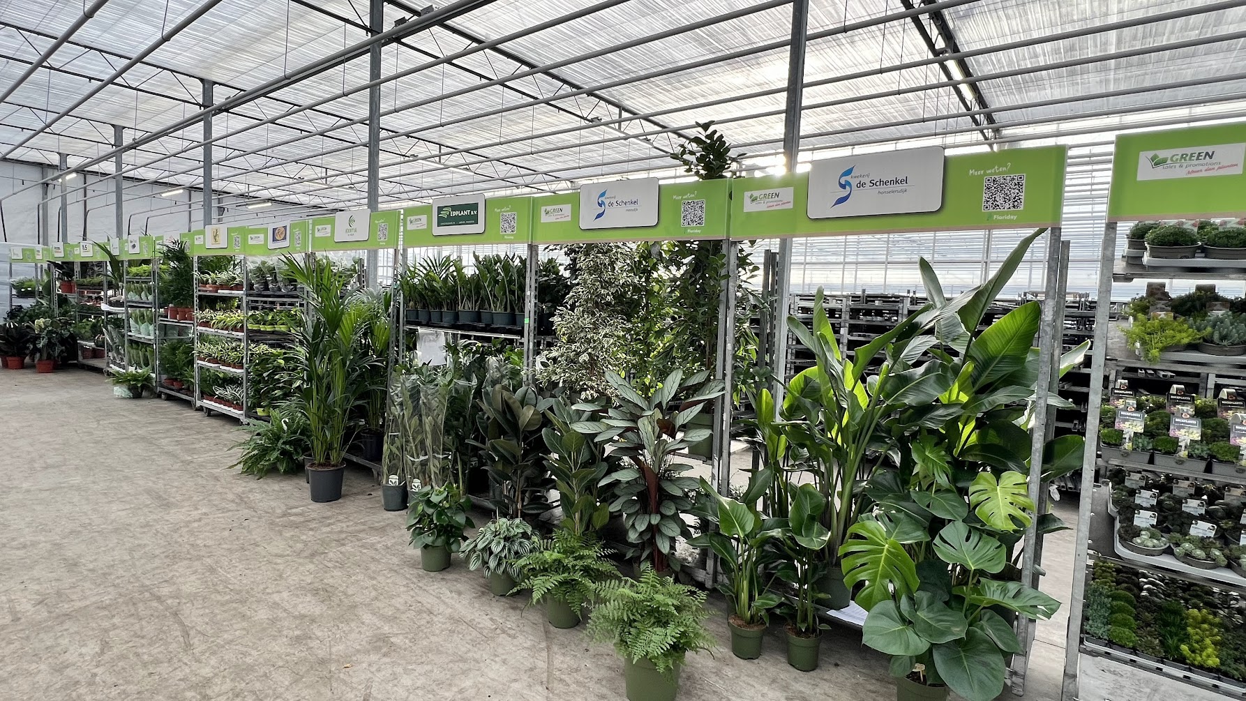 Impressie van de beurs - detail van planten